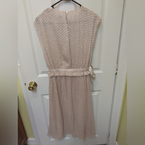 Zara Cream Midi Dress - Picture 10 of 14